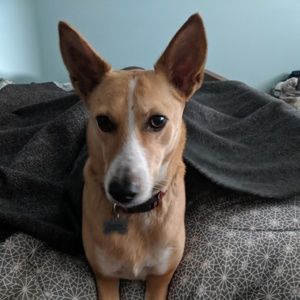 Meet your Posher, May